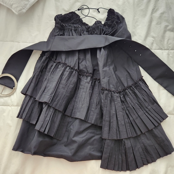 Zara Special Edition Mini Dress - Picture 10 of 16